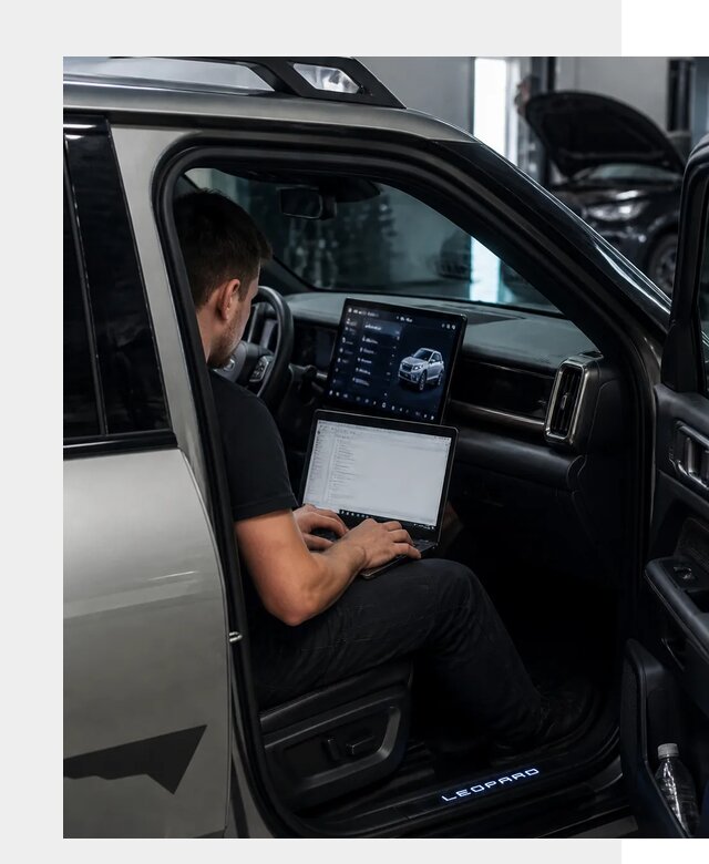 Русификация BYD Leopard 3 в Касимах по цене от 21639 р. | ФастМобиль-Ксм